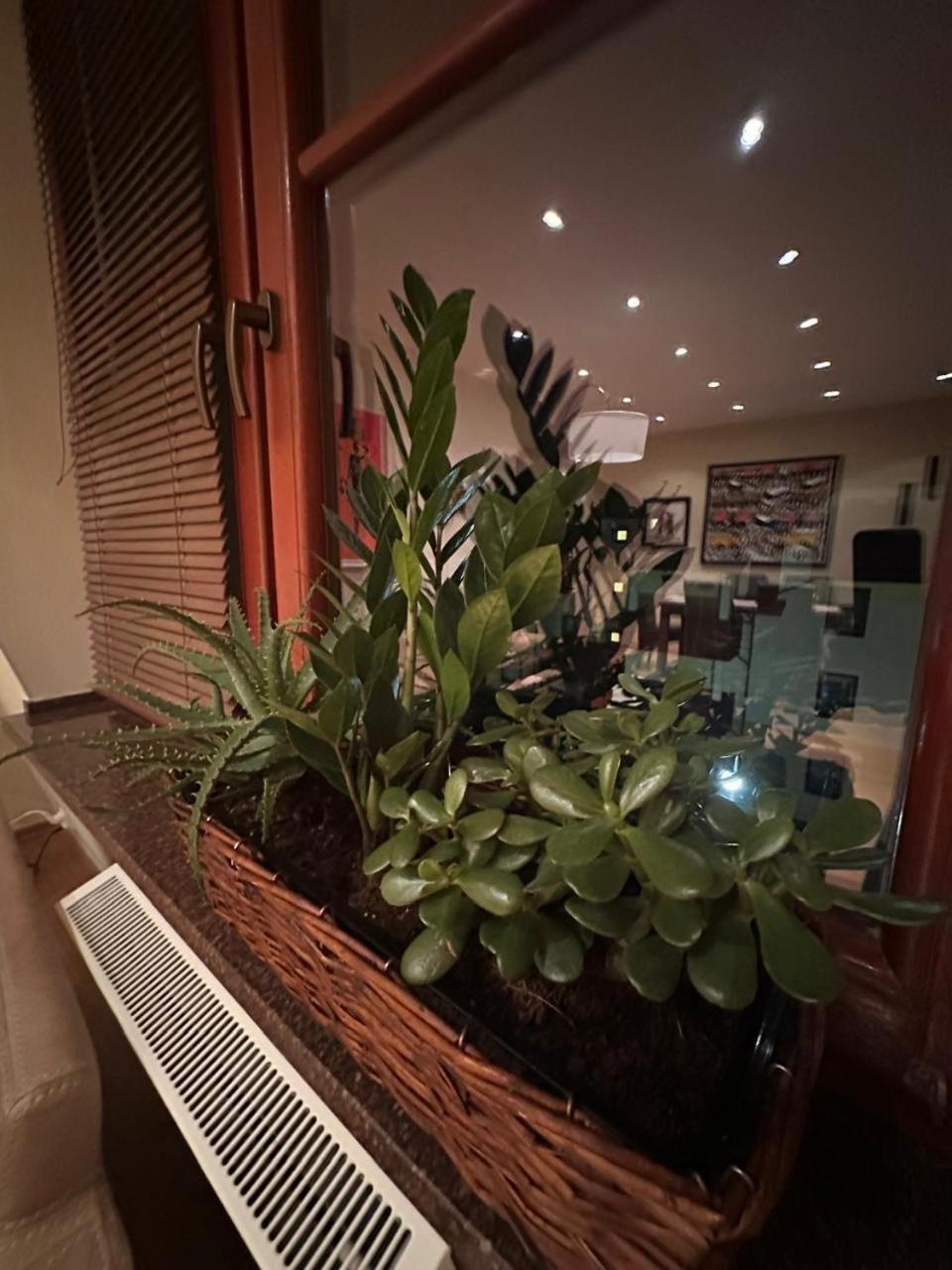 Apartament Josefina Polanica-Zdroj Bagian luar foto